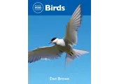 Reed Mini Guide - Birds
