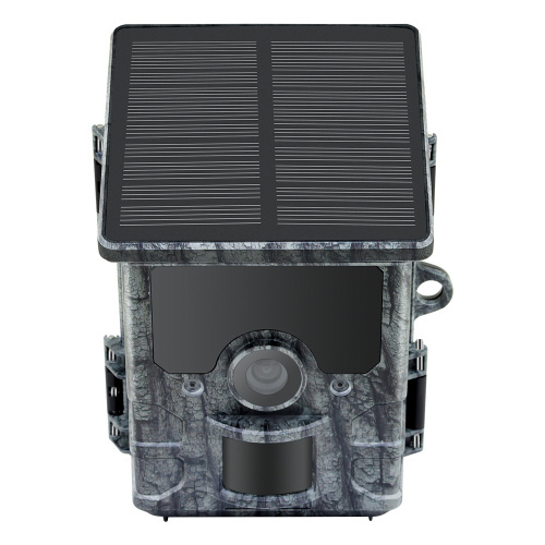 Camouflage EZ-Solar Wildcamera