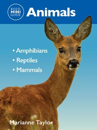 Reed Mini Guide - Animals