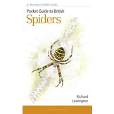 Pocket Guide to British Spiders