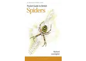 Pocket Guide to British Spiders