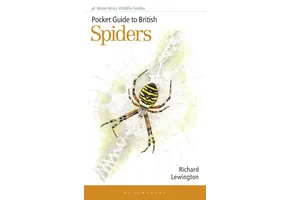 Pocket Guide to British Spiders