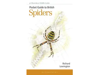 Pocket Guide to British Spiders