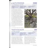 The Forest Guide  Wales - Copses, Woods and Forests