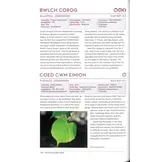 The Forest Guide  Wales - Copses, Woods and Forests