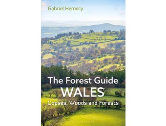 The Forest Guide Wales