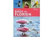 Birds of Florida