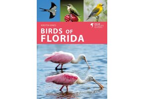 Birds of Florida