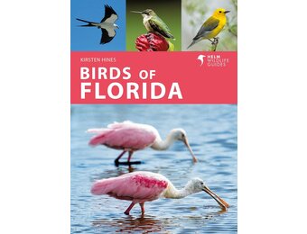 Birds of Florida