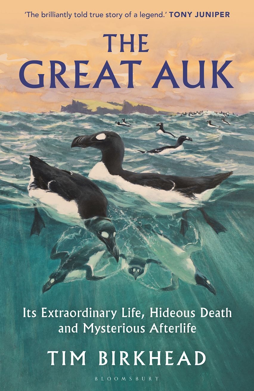 The Great Auk - Its Extraordinary Life, Hideous Death and Mysterious Afterlife