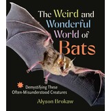 The Weird and Wonderful World of Bats - Demystifying These Often-Misunderstood Creatures