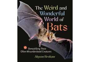 The Weird and Wonderful World of Bats