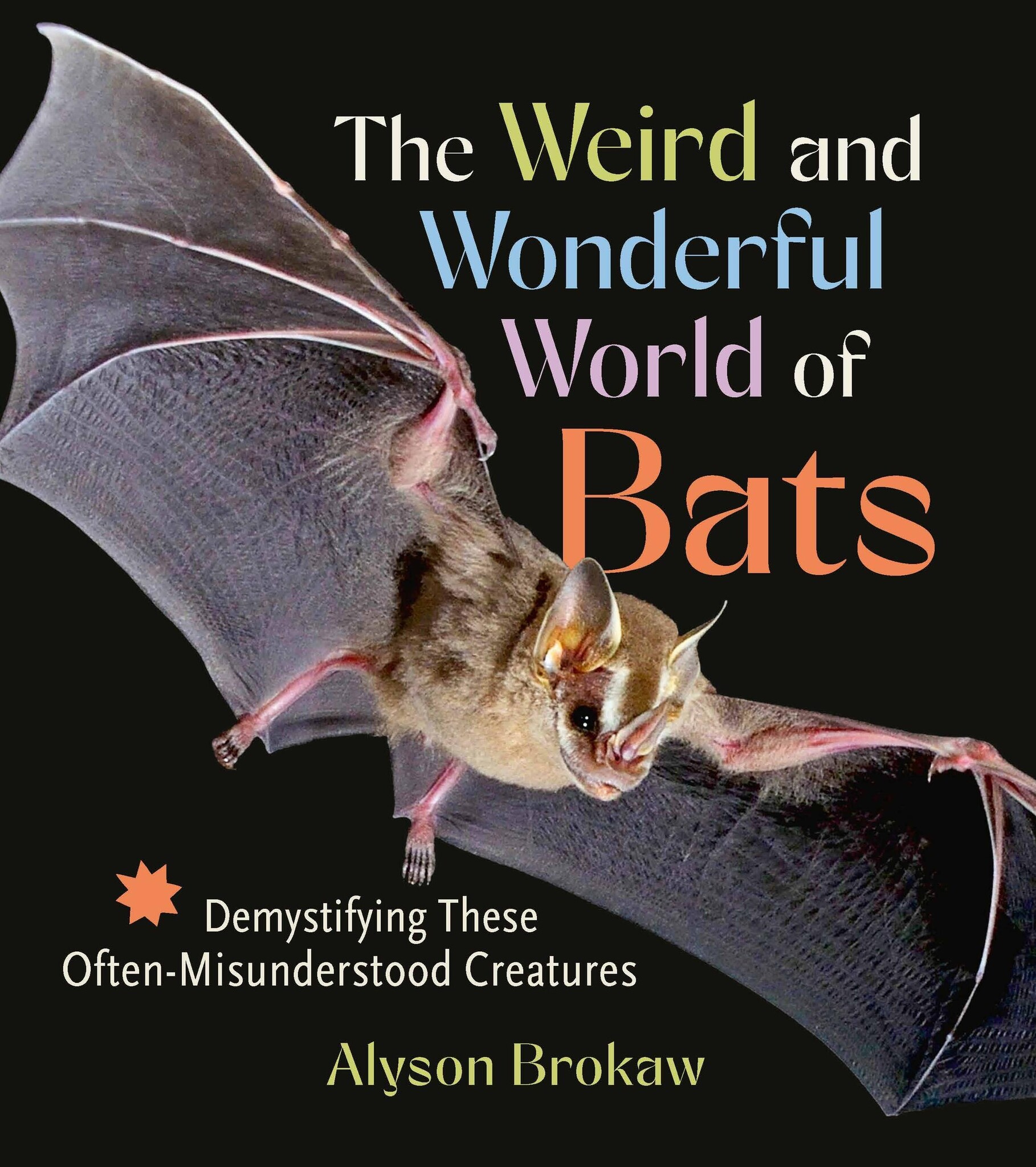 The Weird and Wonderful World of Bats - Demystifying These Often-Misunderstood Creatures