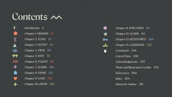 The Weird and Wonderful World of Bats - Demystifying These Often-Misunderstood Creatures