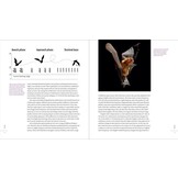 The Weird and Wonderful World of Bats - Demystifying These Often-Misunderstood Creatures