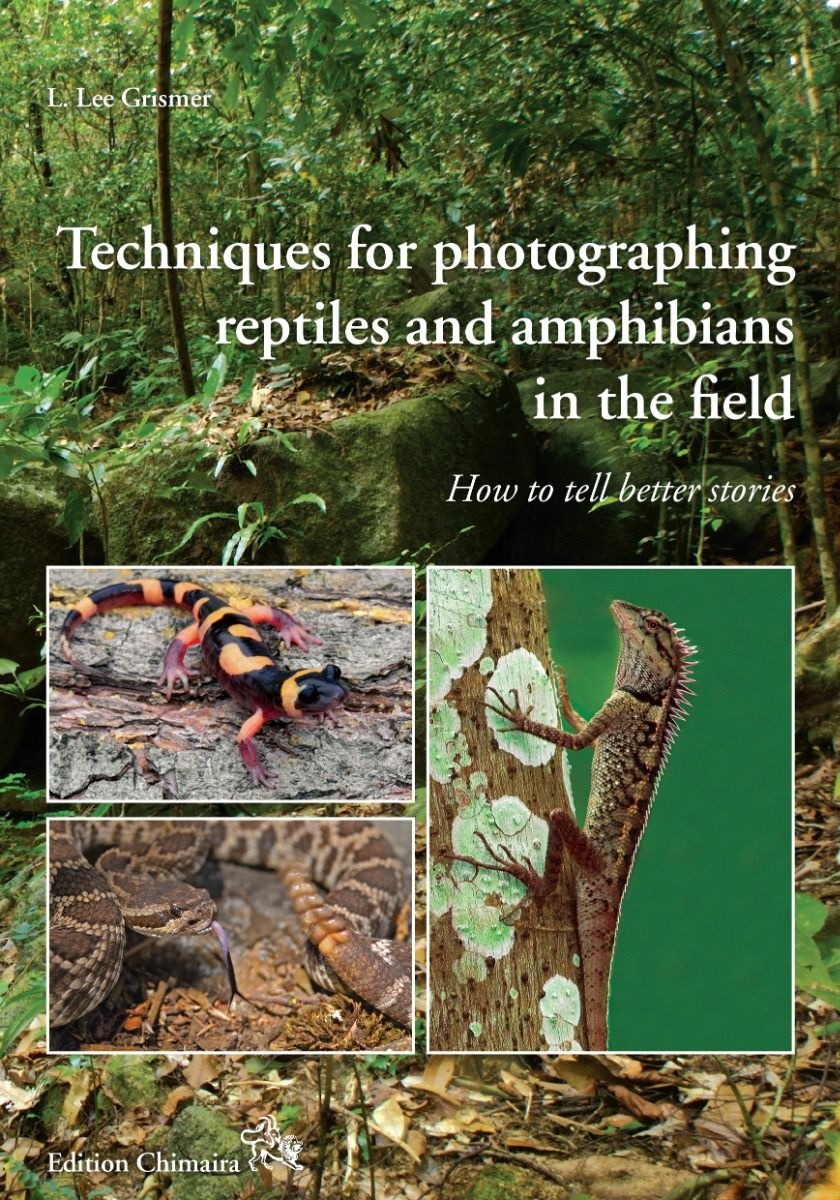 Techniques for photographing reptiles and amphibians in the field - How to tell better stories