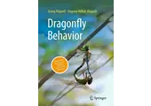 Dragonfly Behavior