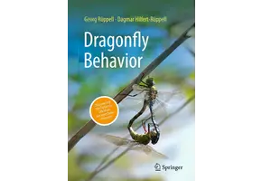 Dragonfly Behavior