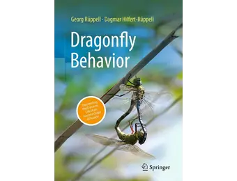Dragonfly Behavior