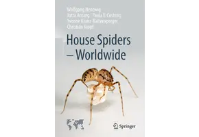 House Spiders