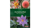 Die Dahlienfibel
