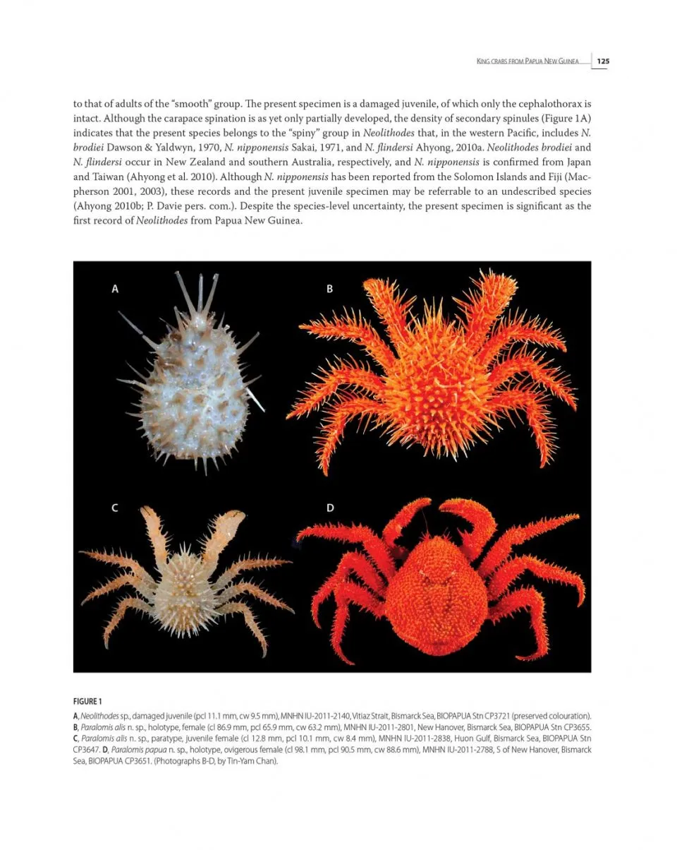 Tropical Deep-Sea Benthos Volume 31 - Deep-Sea Crustaceans from Papua New Guinea