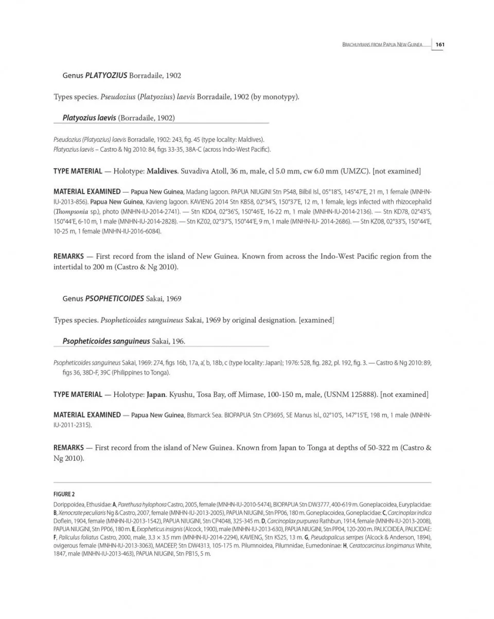 Tropical Deep-Sea Benthos Volume 31 - Deep-Sea Crustaceans from Papua New Guinea