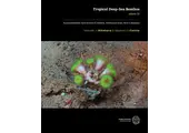 Tropical Deep-Sea Benthos Volume 32 - Azooxanthellate Scleractinia (Cnidaria, Anthozoa) from New Caledonia