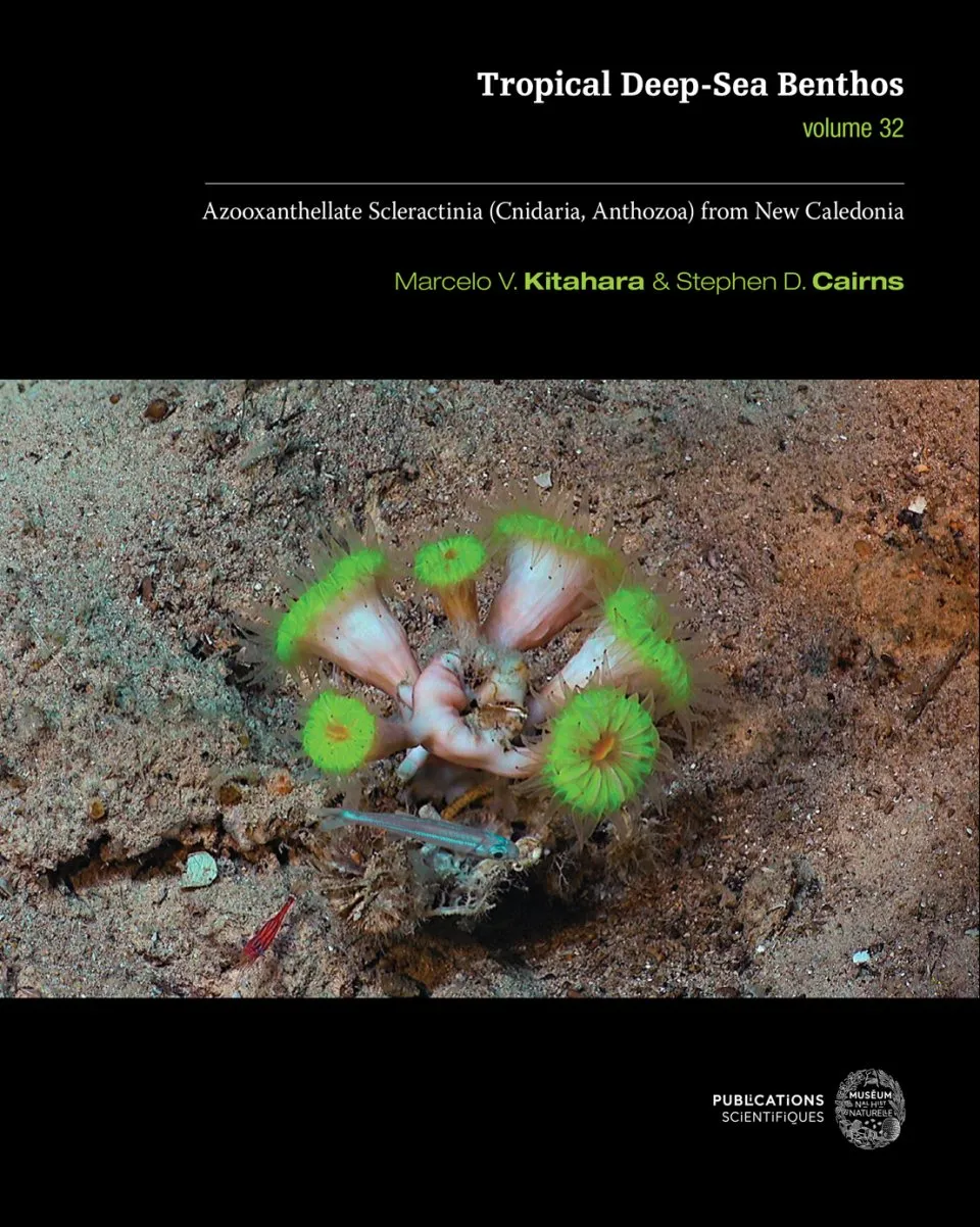 Tropical Deep-Sea Benthos Volume 32 - Azooxanthellate Scleractinia (Cnidaria, Anthozoa) from New Caledonia
