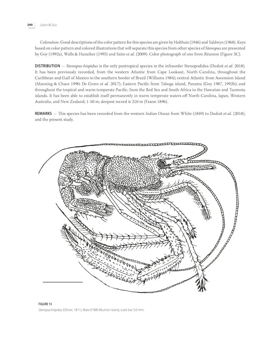 Tropical Deep-Sea Benthos Volume 33 - Deep-Sea Crustaceans from South-West Indian Ocean
