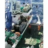 Tropical Deep-Sea Benthos Volume 33 - Deep-Sea Crustaceans from South-West Indian Ocean