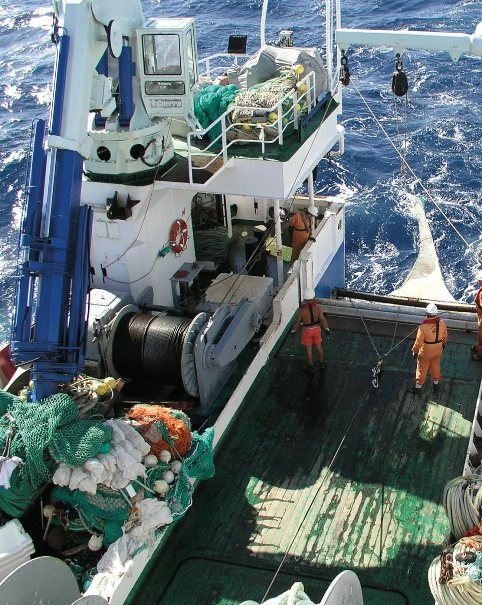 Tropical Deep-Sea Benthos Volume 33 - Deep-Sea Crustaceans from South-West Indian Ocean