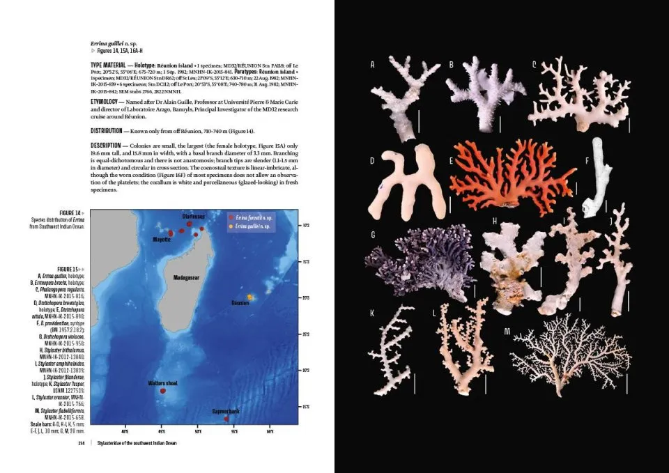 Tropical Deep-Sea Benthos Volume 34 - Deep-Sea Chirostylids and Stylasterids from South-West Indian Ocean