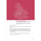 Lythraceae – Podostemaceae. Flora of Cambodia, Laos and Vietnam