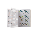 洋書 Birds of Vietnam 2nd Edition Birds of Vietnam (2nd Edition) - Lynx Nature Books