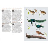 洋書 Birds of Vietnam 2nd Edition Birds of Vietnam (2nd Edition) - Lynx Nature Books