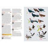 洋書 Birds of Vietnam 2nd Edition Birds of Vietnam - 2nd Edition from Summerfield Books