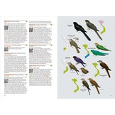 Birds of Vietnam - 2nd Edition