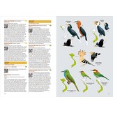 Birds of Vietnam - 2nd Edition