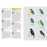 洋書 Birds of Vietnam 2nd Edition Birds of Vietnam (2nd Edition) - Lynx Nature Books