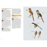 洋書 Birds of Vietnam 2nd Edition Birds of Vietnam (2nd Edition) - Lynx Nature Books