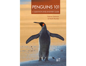 Penguins 101