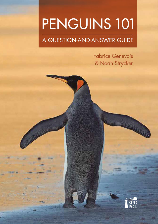 Penguins 101 - A Question-and-Answer Guide