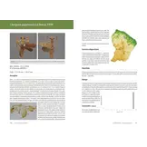 Les Mantodea de Guyane - Insecta, Polyneoptera