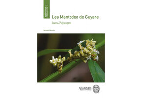 Les Mantodea de Guyane