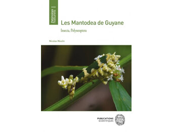 Les Mantodea de Guyane