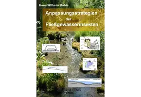Anpassungsstrategien der Fließgewässerinsekten