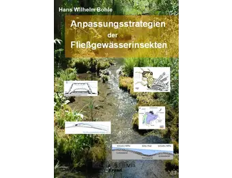 Anpassungsstrategien der Fließgewässerinsekten