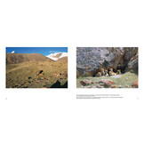 Der Wolf - Ein Grenzgänger zwischen Natur und Kultur