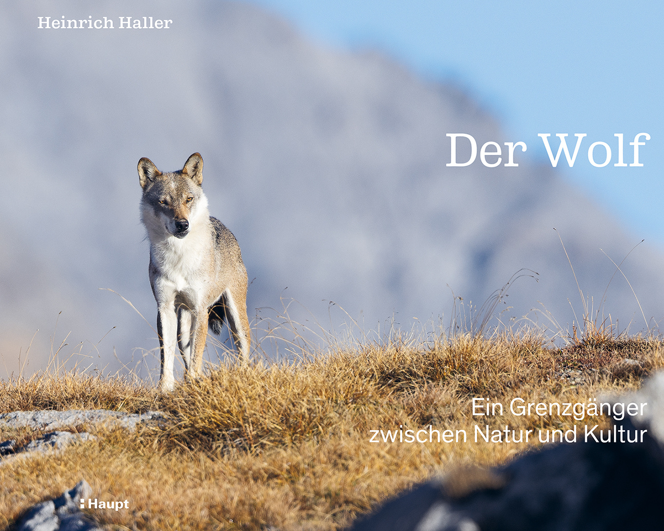 Der Wolf - Ein Grenzgänger zwischen Natur und Kultur